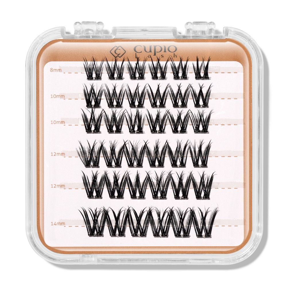 Transparente Box mit Cupio Lash Wimpernbüscheln, schwarze Cluster-Wimpern in gemischten Längen 8 mm, 10 mm, 12 mm und 14 mm