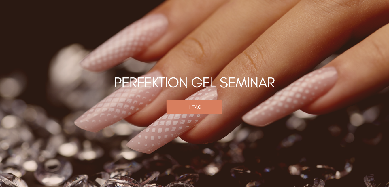Perfektion - Gel Seminar - 1 Tag