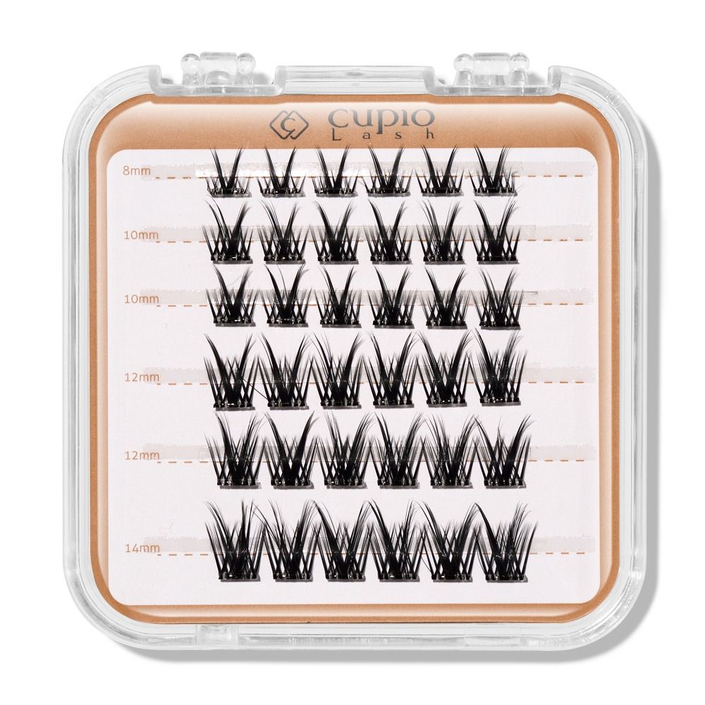 Transparente Box mit Cupio Lash Wimpernbüscheln, schwarze Cluster-Wimpern in den Längen 8 mm, 10 mm, 12 mm und 14 mm