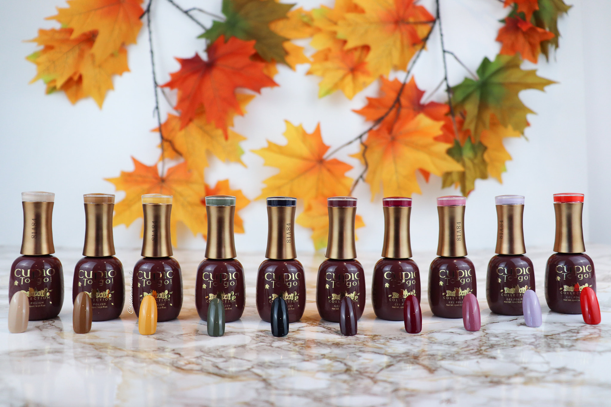 Cupio ColorFall Collection Box 10er Set