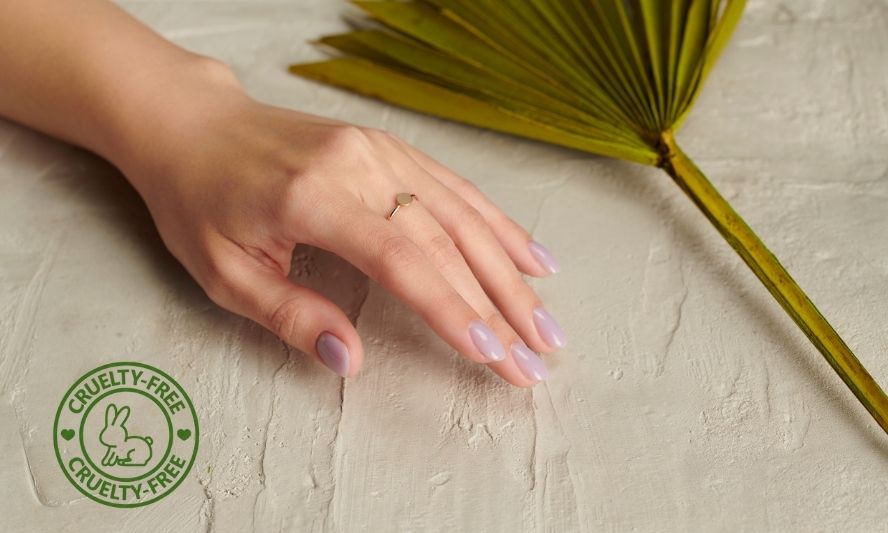 486298337_1223756419759720_7347829309933633027_n