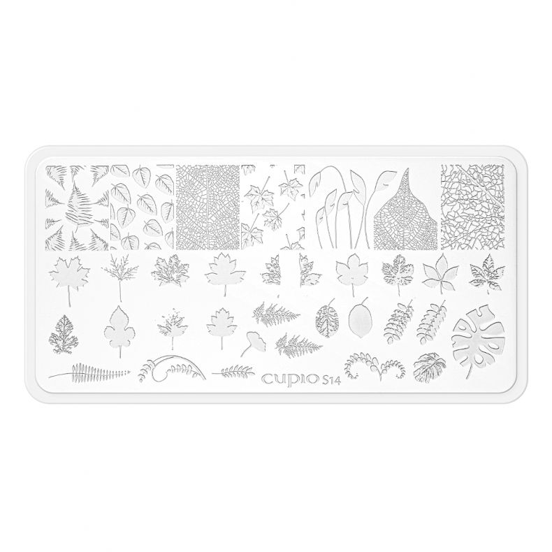 Cupio Stamping Schablone - S14